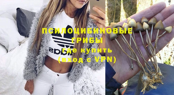 винт Богданович
