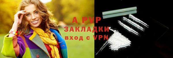 винт Богданович
