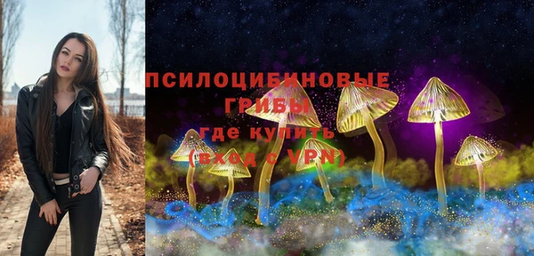 винт Богданович