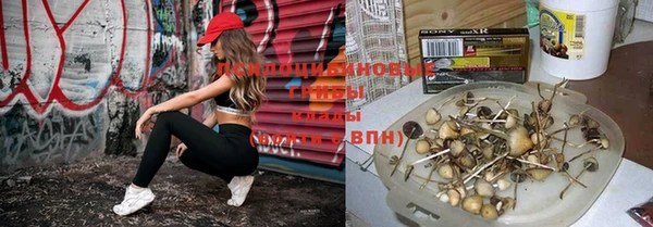 марки nbome Богородск