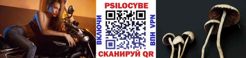 МЕГА зеркало  Наро-Фоминск  Псилоцибиновые грибы Cubensis 